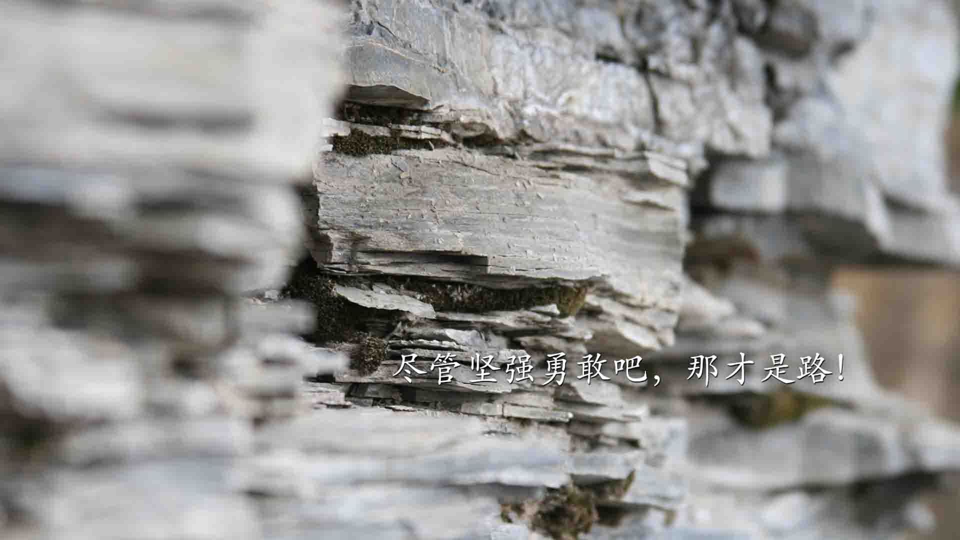 九游娱乐官网 (JIUYOU)-_爵士音律和谐，主场高奏凯歌_，爵士乐即兴演唱