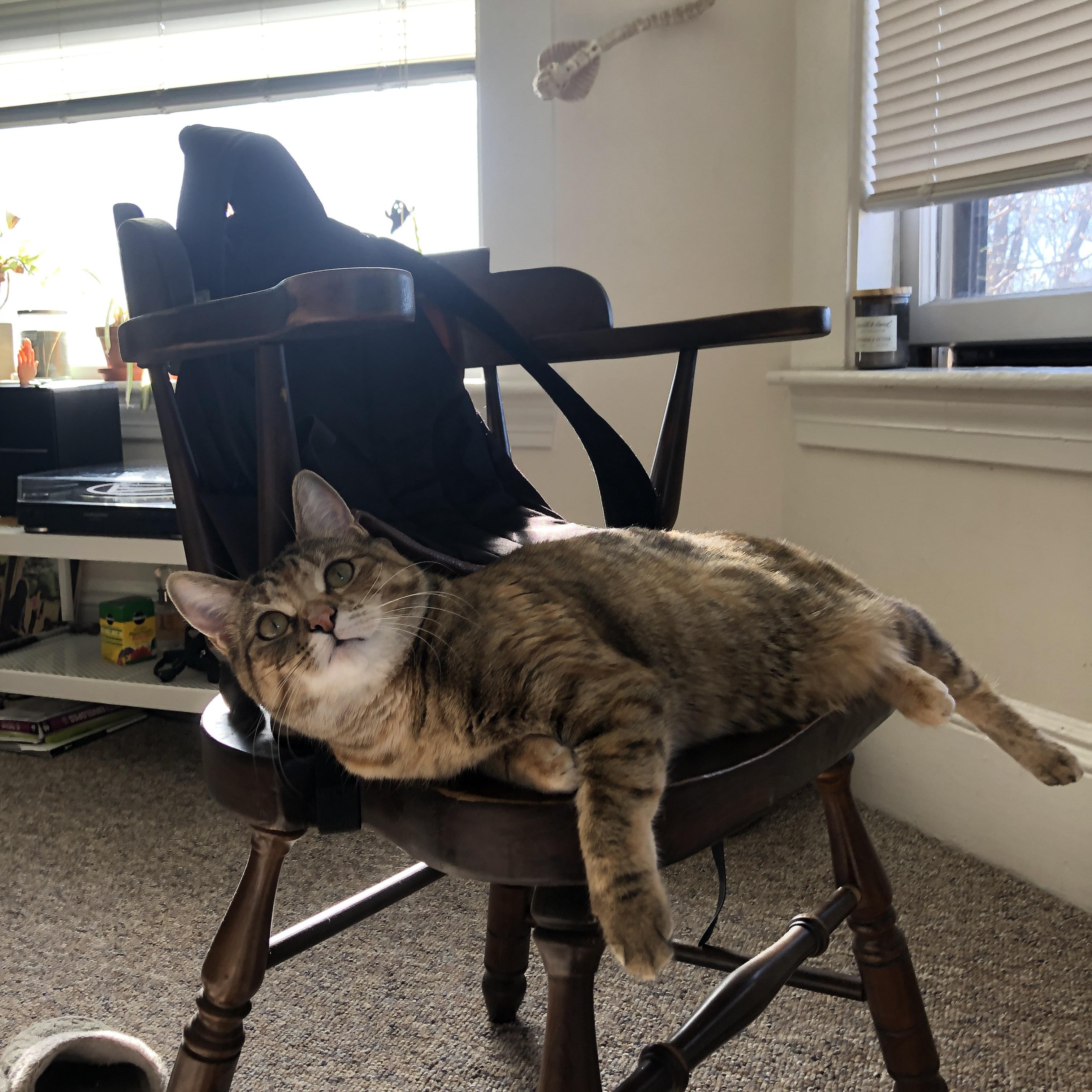 -_猛龙奋勇作战，逐步接近季后赛_，18～19猛龙季后赛赛程