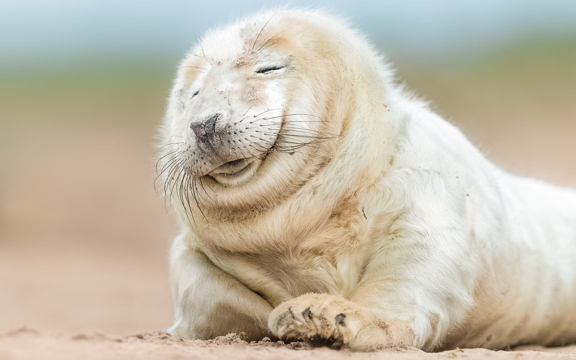 “足球+文化+科技”新模式带动行业跨界融合,行业未来可期,和足球相关的产业