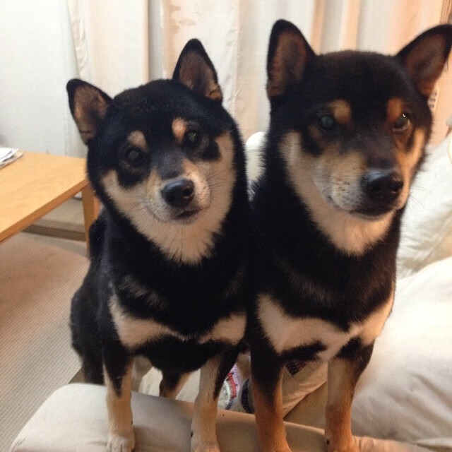 学校足球“名师+名队+名赛”联动，青训体系逐步完善，学校足球队名字有创意好听