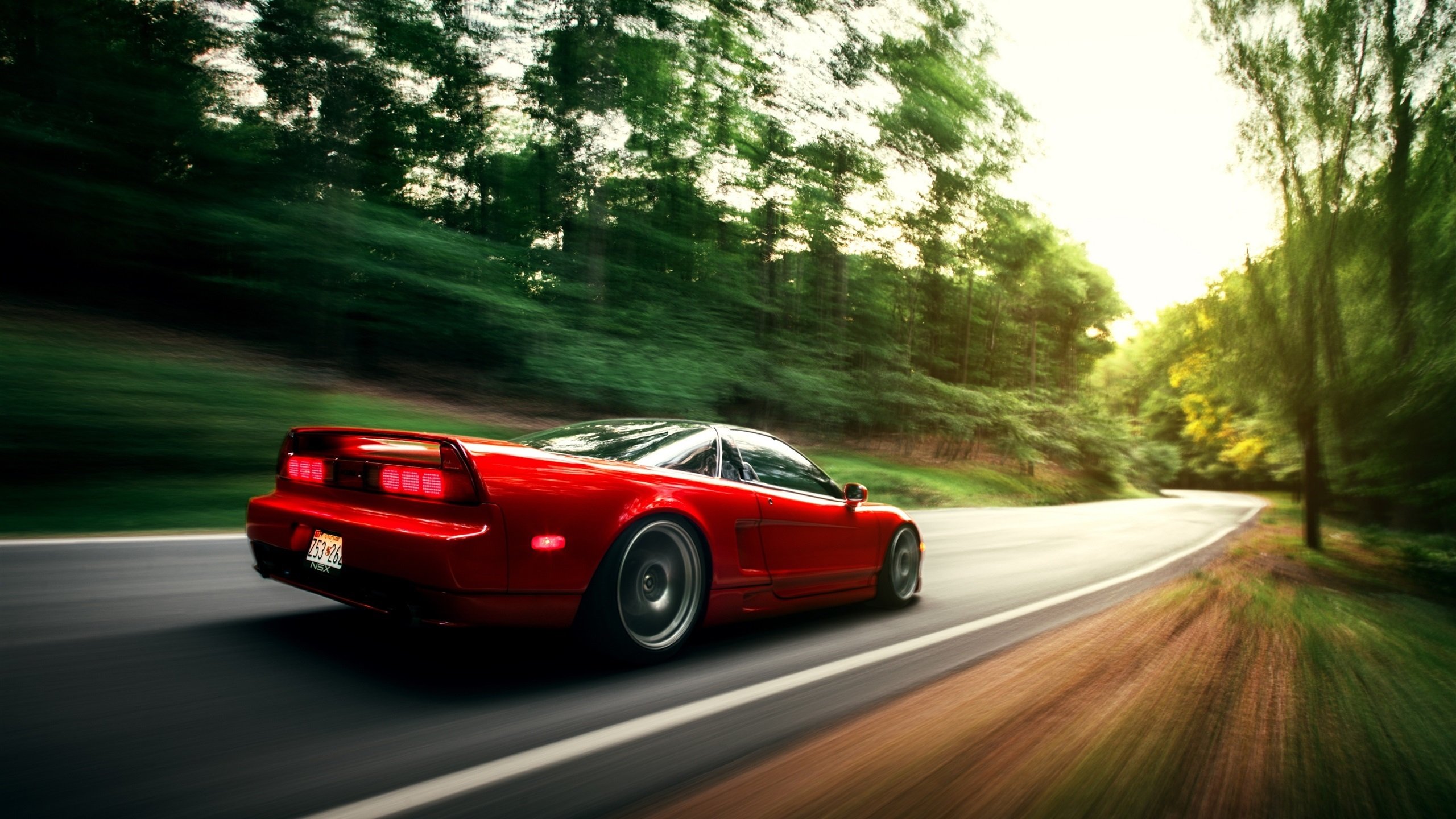 荣光时刻:伟大教练与球员的辉煌岁月