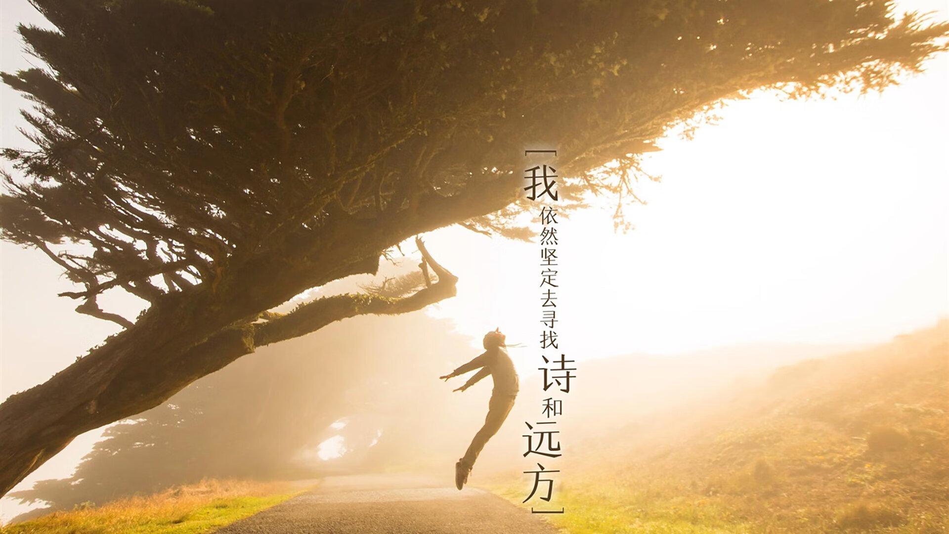 赛道上的无人驾驶赛车试验，无人驾驶智能车比赛