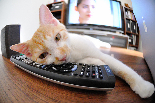 逆境中的“球队领袖”:那些凝聚团队的关键人物,球队的凝聚力