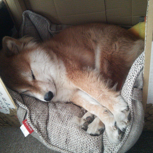 九游游戏中心-通过VR虚拟技术实现“云比赛”，创新赛事观赛体验，vr虚拟现实比赛题目