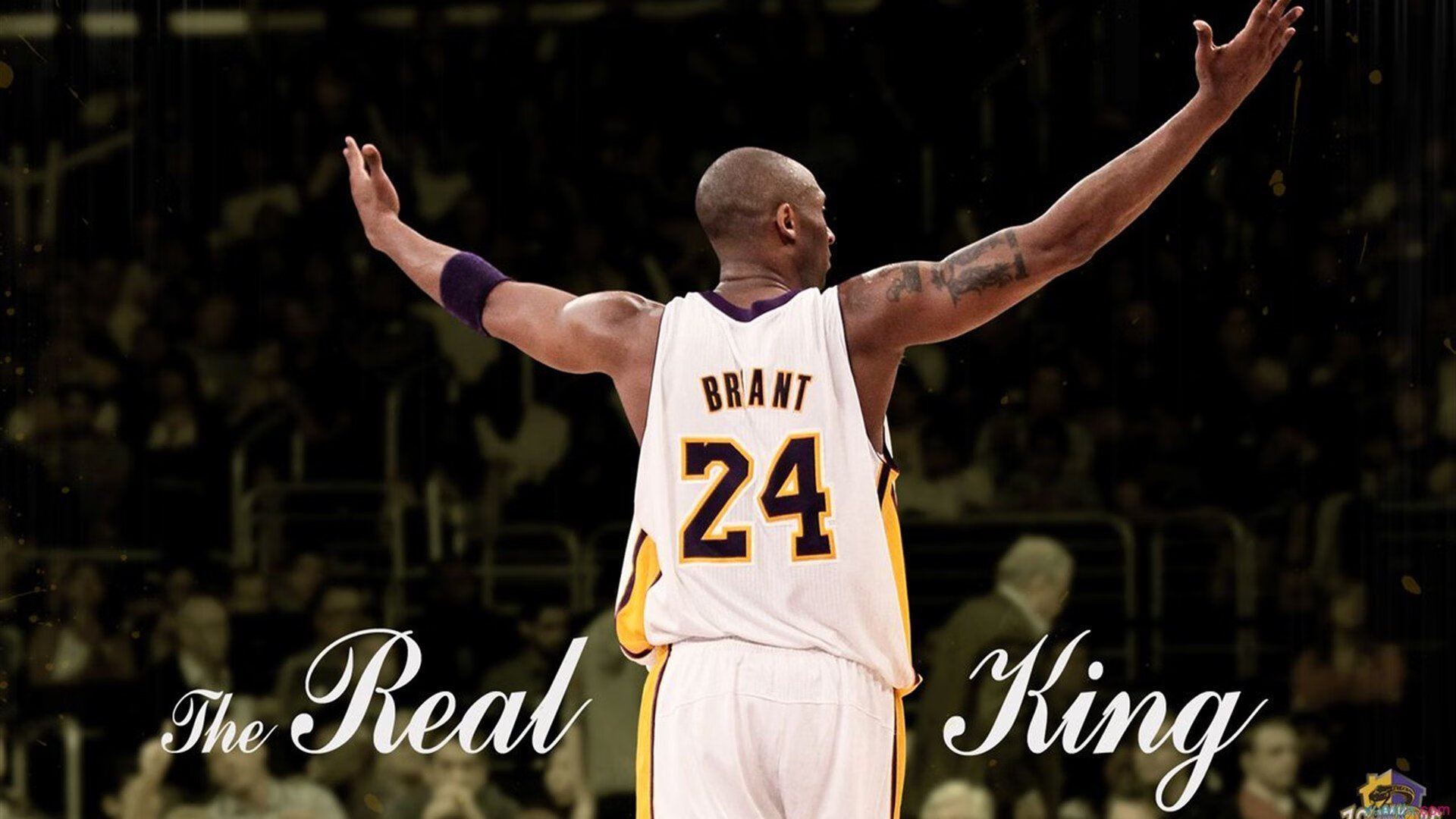 北美选手培养机制再评估，北美赛区叫什么