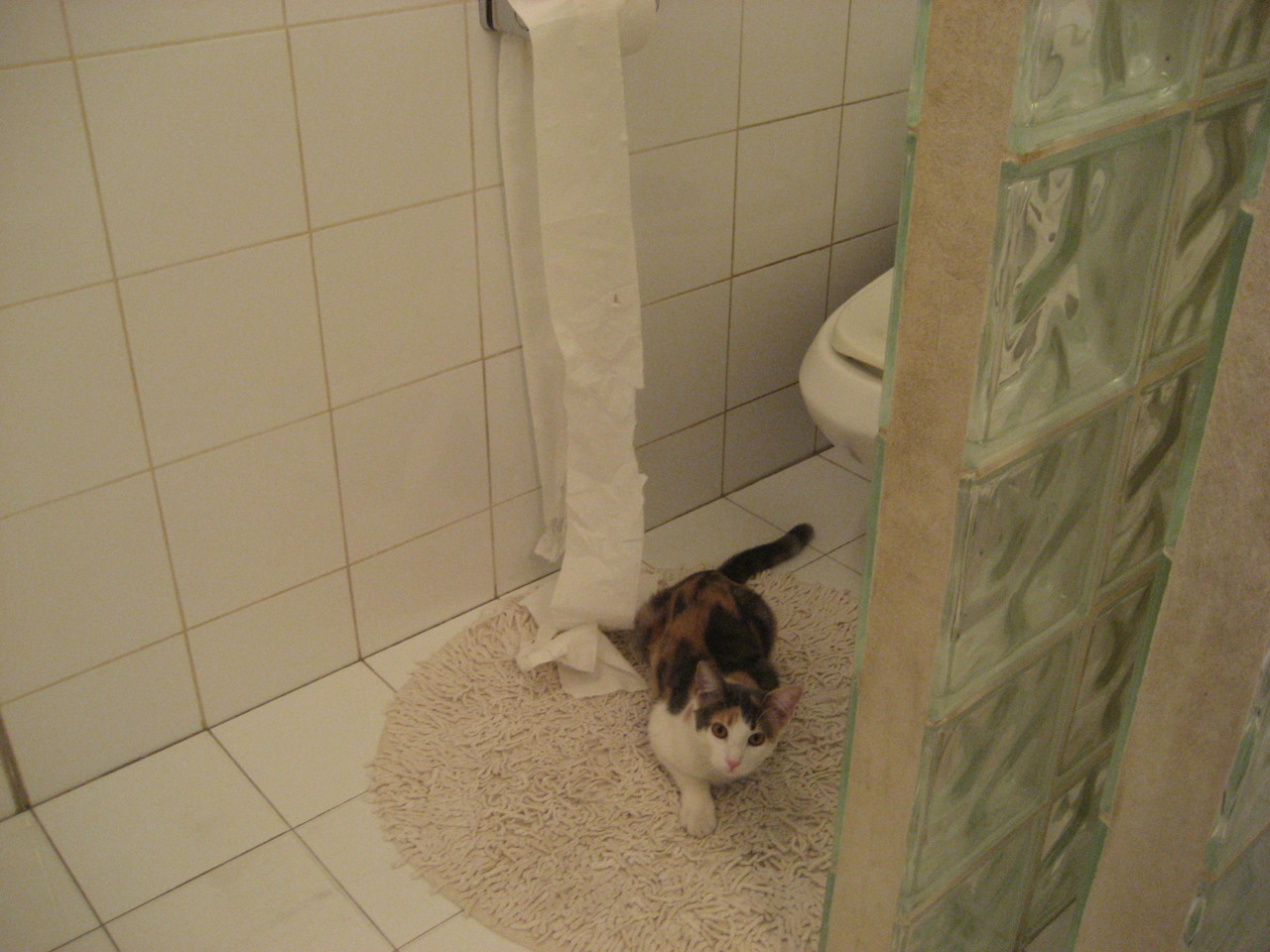 九游下载安装-阿森纳在冬窗签下替补门将，增强替补席实力，阿森纳冬窗引援