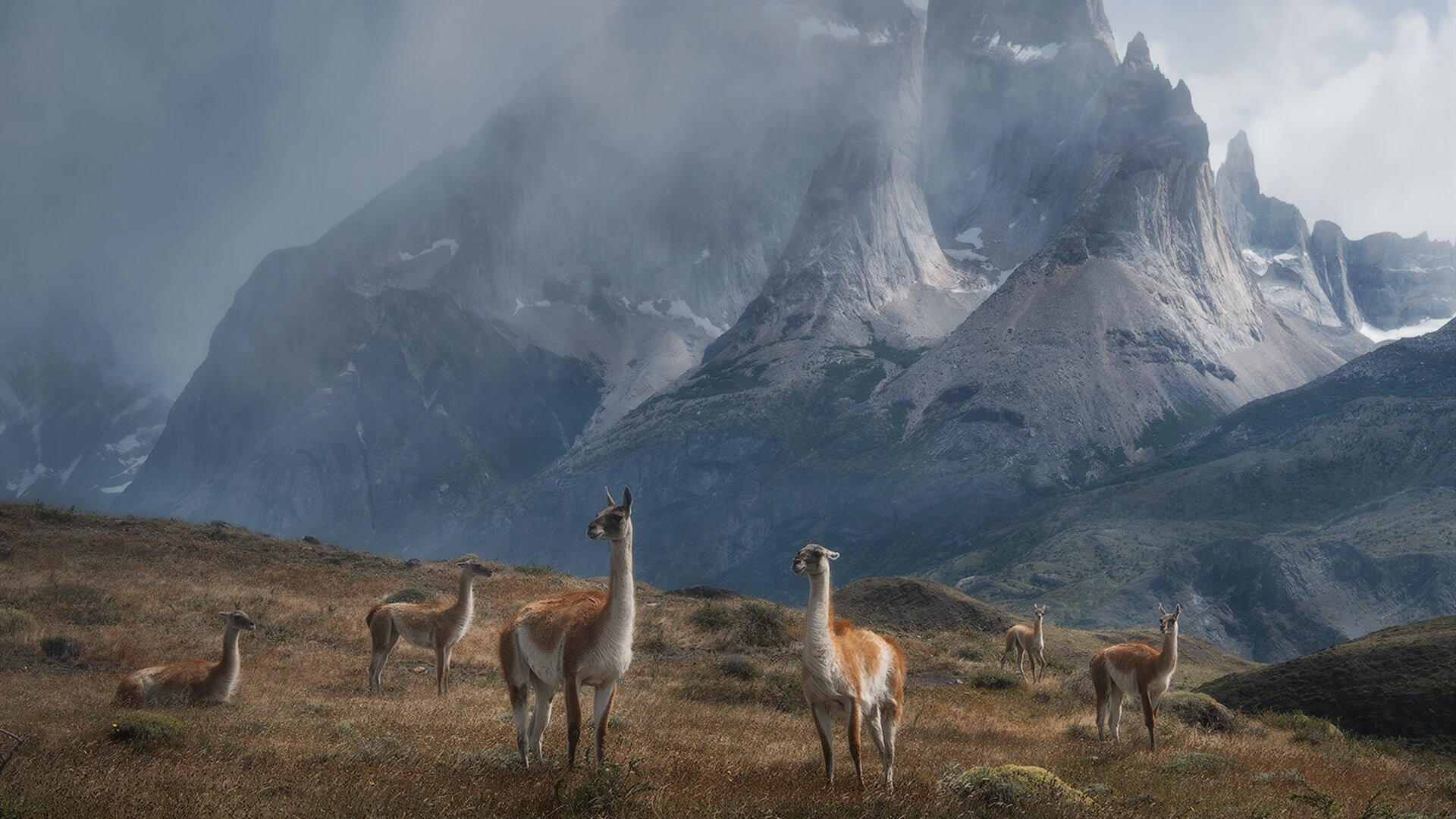 九游网页版官网-雷霆险胜尼克斯，系列赛焦点战中亚历山大砍下47分，雷霆亚历山大虎扑