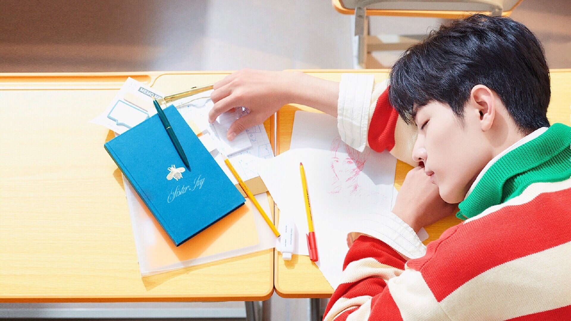 塞内加尔马术协会举办马匹护理培训班,提高骑手护理技能。,内蒙古赛马场马术培训