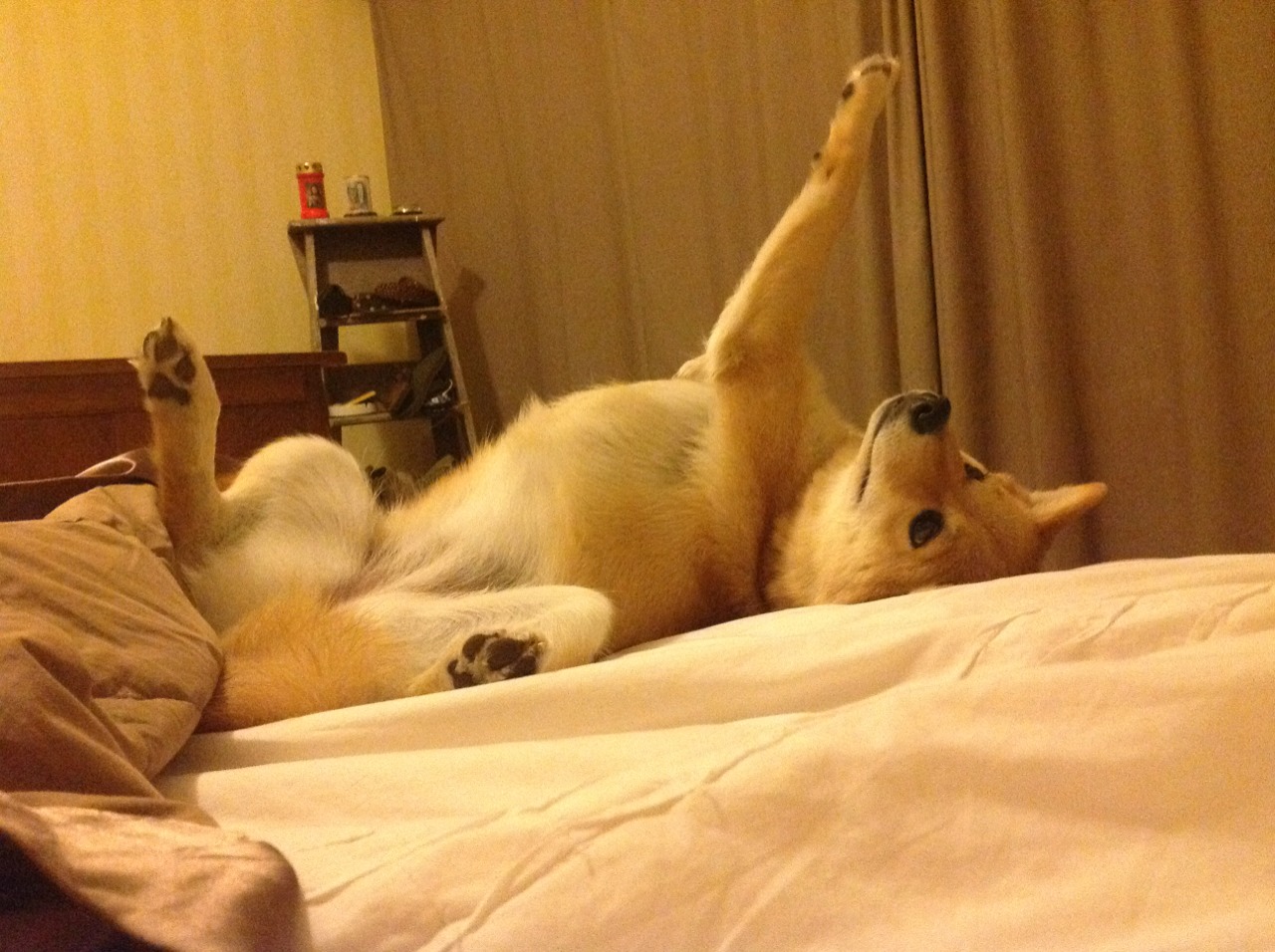 中超联赛U23国足惨败 数据回顾引发争议，2021中超u23规则