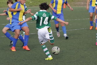 九游娱乐(jiuyou)官网-体育新闻中心发布体育内容原创度评估智能工具，原创体育sports