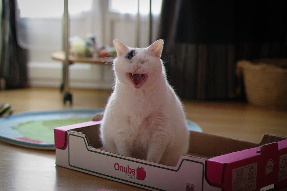 九游娱乐(jiuyou)官方网站-俱乐部战略规划与执行力不足，俱乐部战略规划与执行力不足怎么办