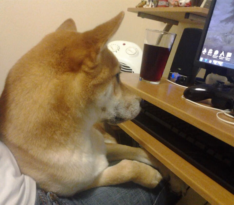 中国足球职业俱乐部青训体系标准化建设稳步推进,中国足球青训体系是什么