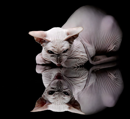 国家队球员积极参与媒体活动展现亲民形象拓宽传播圈层