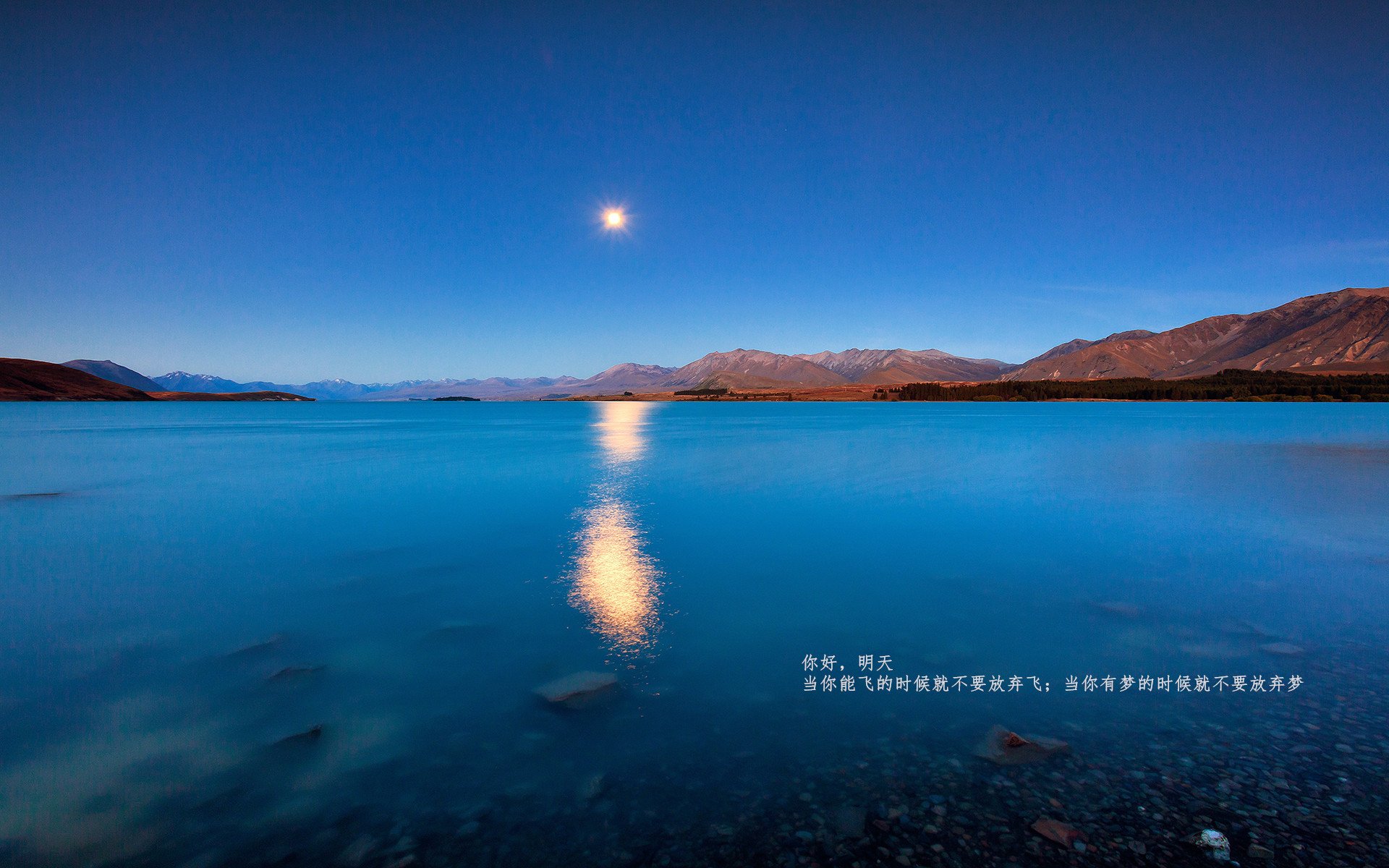 格鲁吉亚女篮在欧洲锦标赛中精彩表现,迈向更高舞台,格鲁吉亚参加过欧洲杯吗